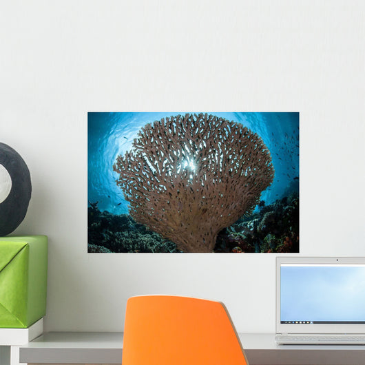 Sunlight Sparkles through Table Wall Decal