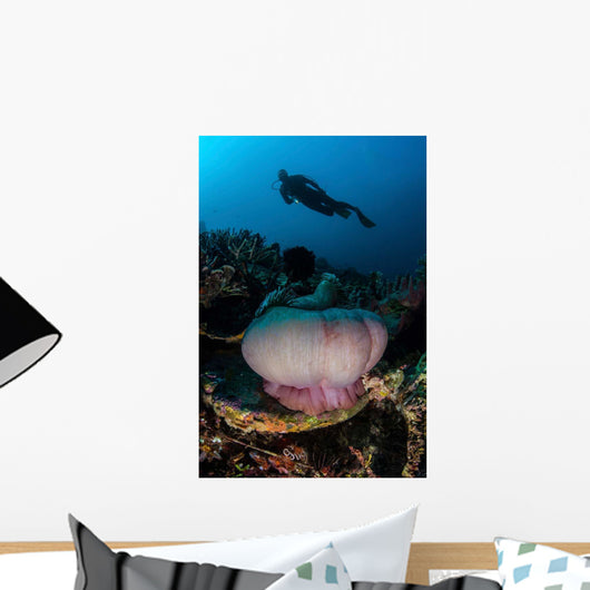 Diver Hovers above Magnificent Wall Decal Design 2