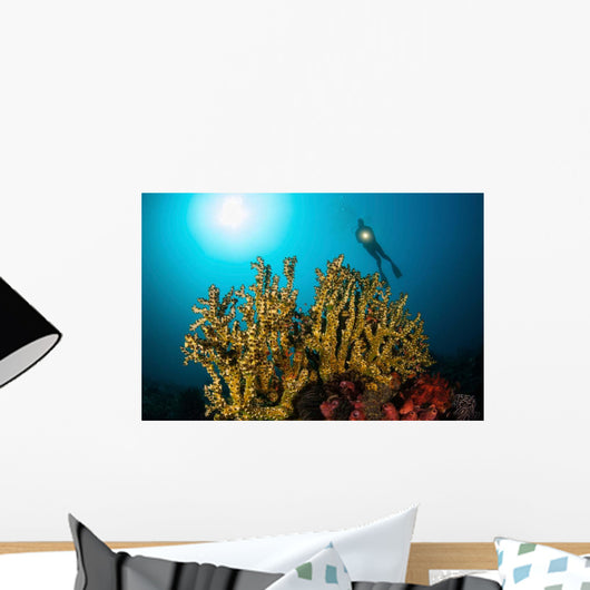 Diver Hovers above Coral Wall Decal