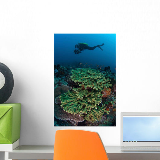 Diver Swims above Healthy Wall Decal Design 2