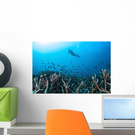 Diver Swims above Healthy Wall Decal Design 1