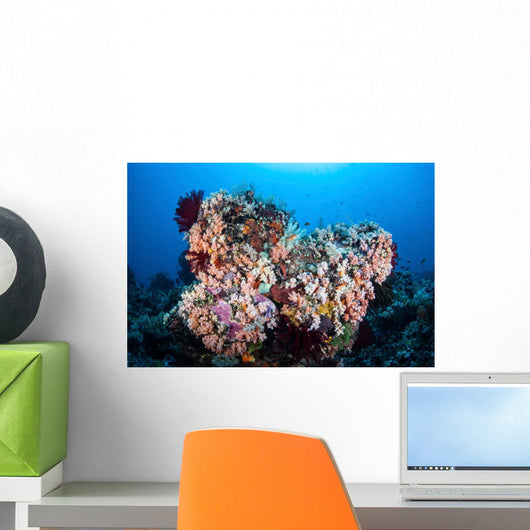 Soft Corals and Other Wall Decal Design 7