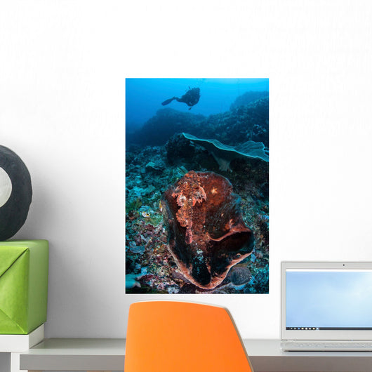 Scorpionfish Lays Large Sponge Wall Decal