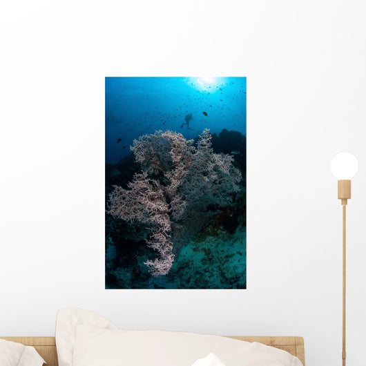 Huge Gorgonian Grows Reef Wall Decal