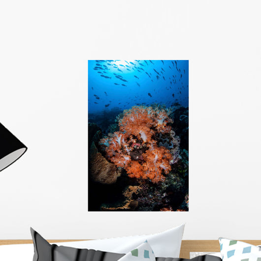 Beautiful Orange Soft Corals Wall Decal Design 2
