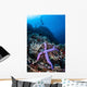 Purple Sea Star Clings Wall Decal