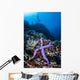 Purple Sea Star Clings Wall Decal