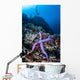 Purple Sea Star Clings Wall Decal