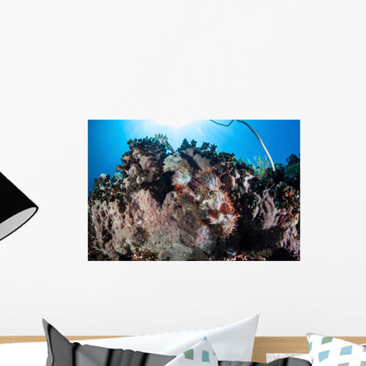 Scorpionfish Lays Coral Reef Wall Decal