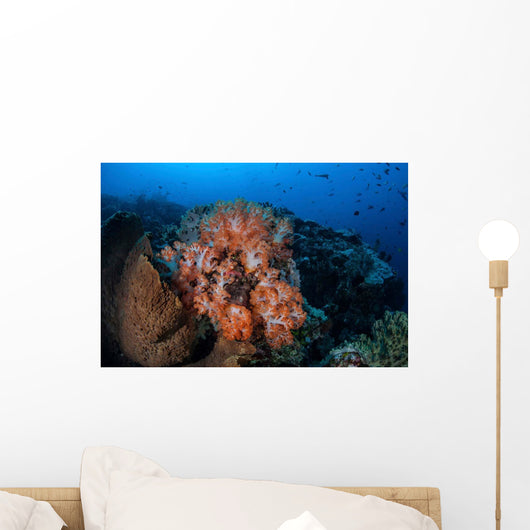 Beautiful Orange Soft Corals Wall Decal Design 1