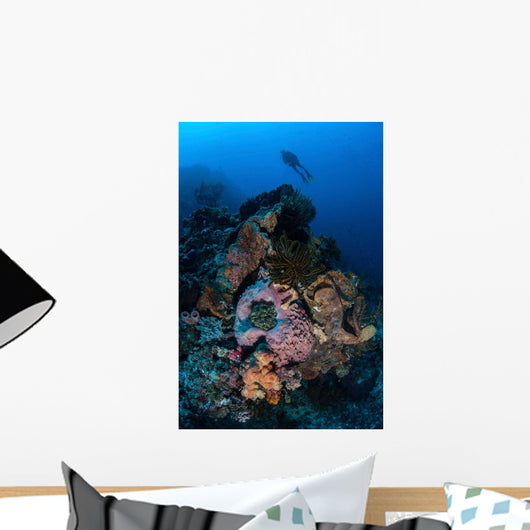 Diver above Beautiful Reef Wall Decal