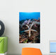 Sea Star Clings to Wall Decal