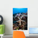 Sea Star Clings to Wall Decal
