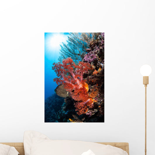 Soft Corals and Other Wall Decal Design 6