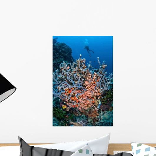 Scuba Diver Explores Colorful Wall Decal