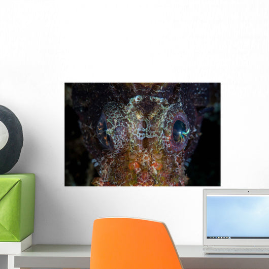 Eyes Shortfin Lionfish Wall Decal
