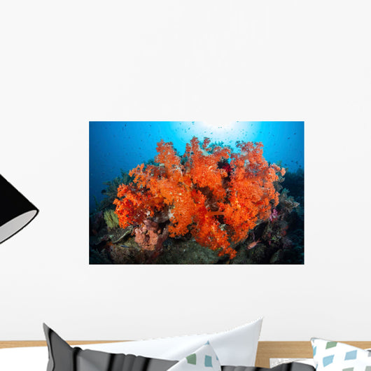 Beautiful Soft Corals and Wall Decal Design 2