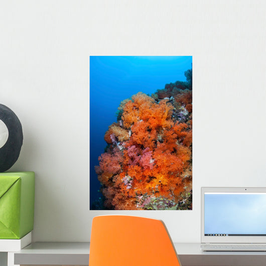 Beautiful Soft Corals and Wall Decal Design 1