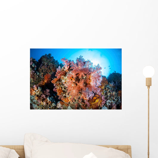 Soft Corals and Other Wall Decal Design 5