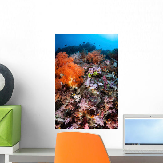 Scorpionfish Is Hidden among Wall Decal Design 2