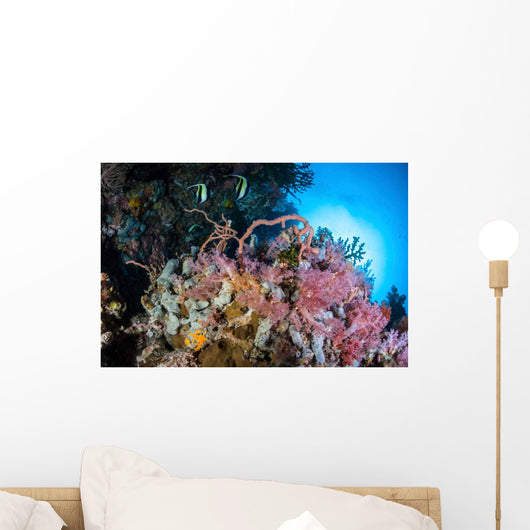 Soft Corals and Other Wall Decal Design 3