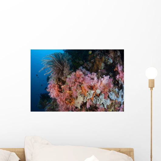 Soft Corals and Other Wall Decal Design 2
