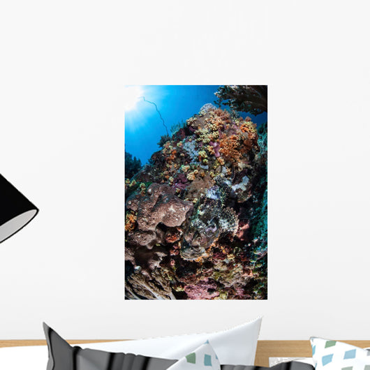 Scorpionfish Is Hidden among Wall Decal Design 1