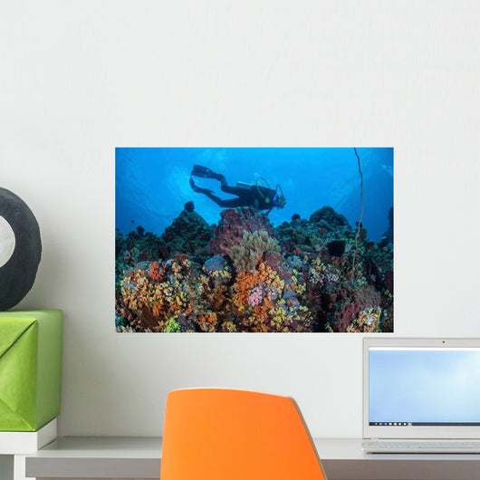 Scuba Diver Swims above Wall Decal