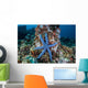Unusual Sea Star Clings Wall Decal Design 2