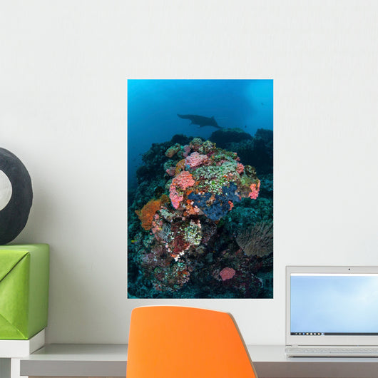 Manta Ray Swimming above Wall Decal Design 1