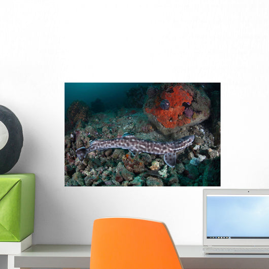 Coral Catshark Lays Seafloor Wall Decal Design 2