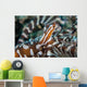 Wonderpus Octopus Found Lembeh Wall Decal Design 1