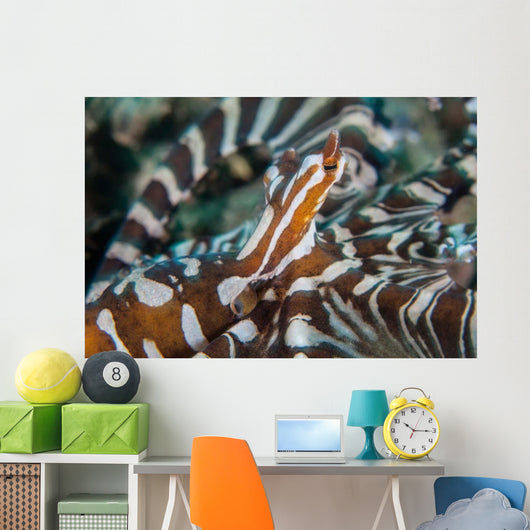 Wonderpus Octopus Found Lembeh Wall Decal Design 1