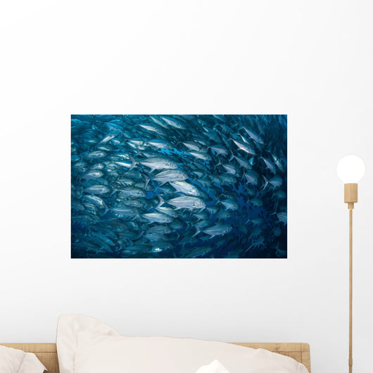 Massive School Bigeye Trevally Wall Decal Design 2
