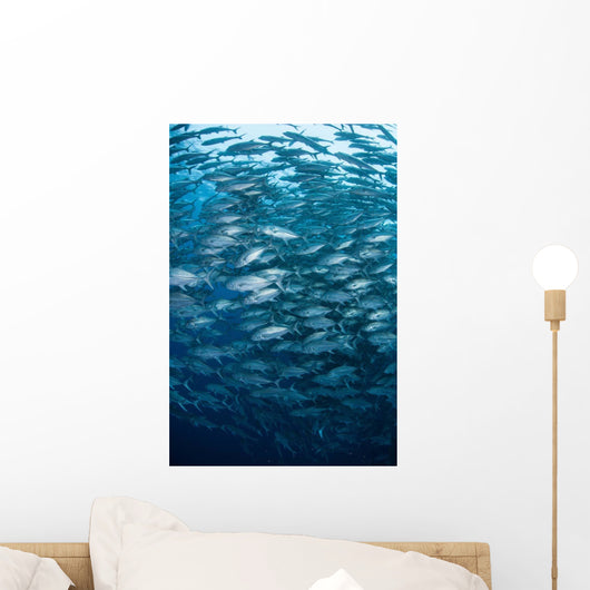 Massive School Bigeye Trevally Wall Decal Design 1