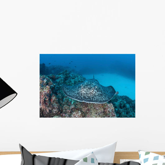 Large Black-blotched Stingray near Wall Decal Design 2