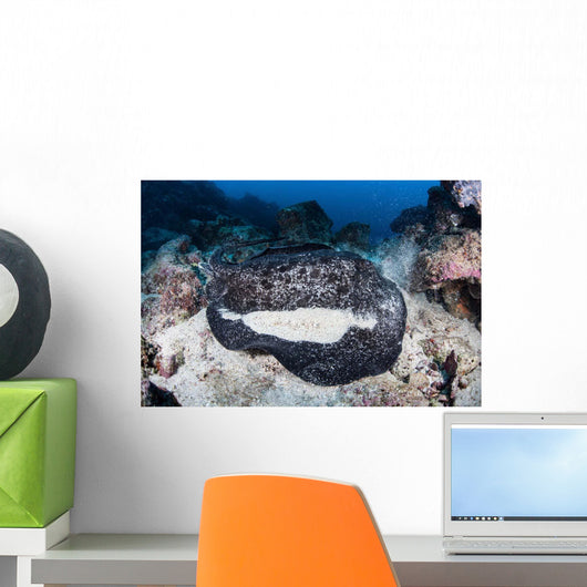 Large Black-blotched Stingray near Wall Decal Design 1