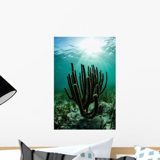Gorgonians Grow Shallow Reef Wall Decal