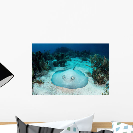 Roughtail Stingray Rests Seafloor Wall Decal Design 2