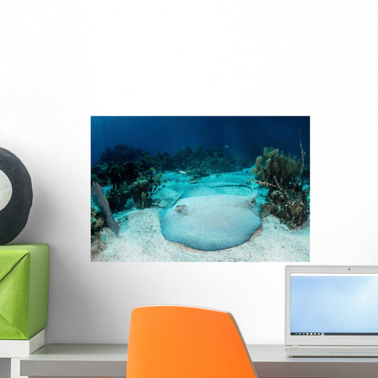Roughtail Stingray Rests Seafloor Wall Decal Design 1