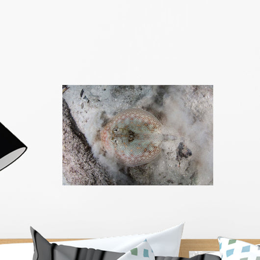 Yellow Stingray Lays Sandy Wall Decal