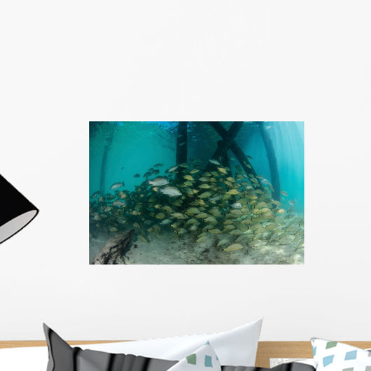 School Grunt Fish beneath Wall Decal Design 3