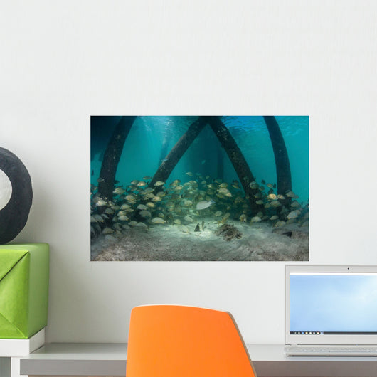 School Grunt Fish beneath Wall Decal Design 2