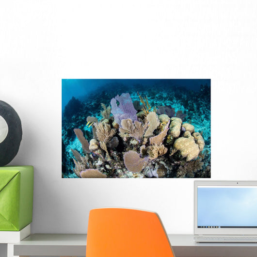 Colorful Set Gorgonians Diverse Wall Decal Design 17