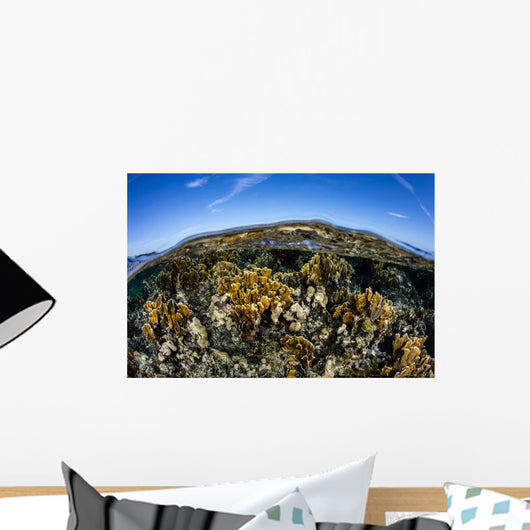 Fire Corals Grow along Wall Decal Design 2