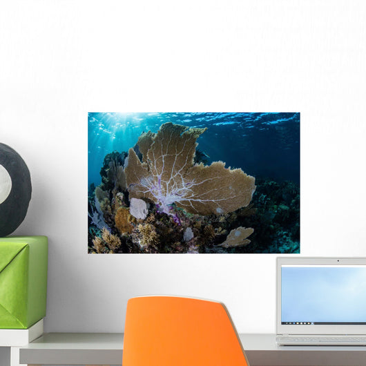 Colorful Set Gorgonians Diverse Wall Decal Design 11
