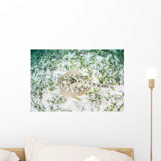 Yellow Stingray Sandy Seafloor Wall Decal Design 2