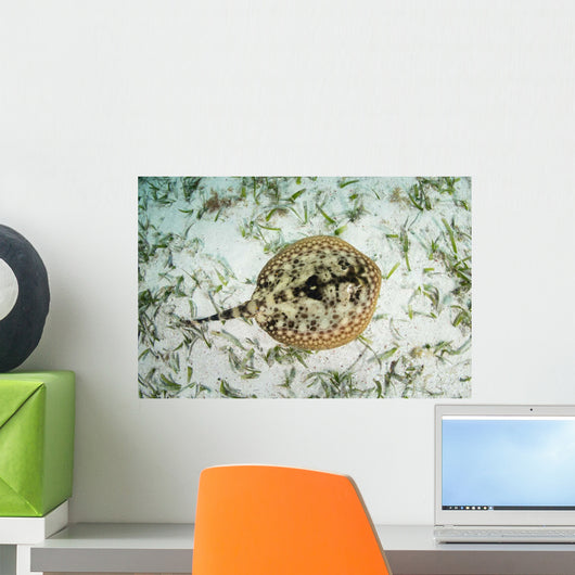 Yellow Stingray Sandy Seafloor Wall Decal Design 1