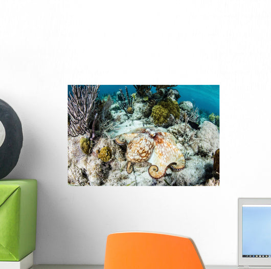 Caribbean Reef Octopus Seafloor Wall Decal Design 2