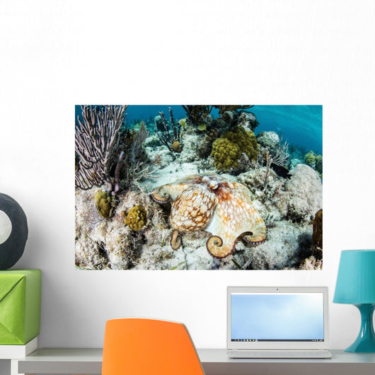 Caribbean Reef Octopus Seafloor Wall Decal Design 2